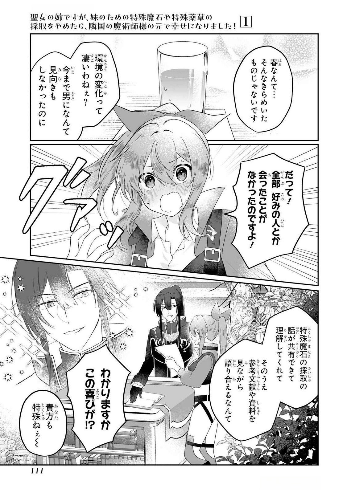 Seijou no Ane desu ga, Imouto no Tame no Tokushu Masekiya Tokushu Yakusou no Saishu wo Yametara, Ringoku no Majutsushi-sama no Moto de Shiawase ni narimashita! Chapter 3 3ページ