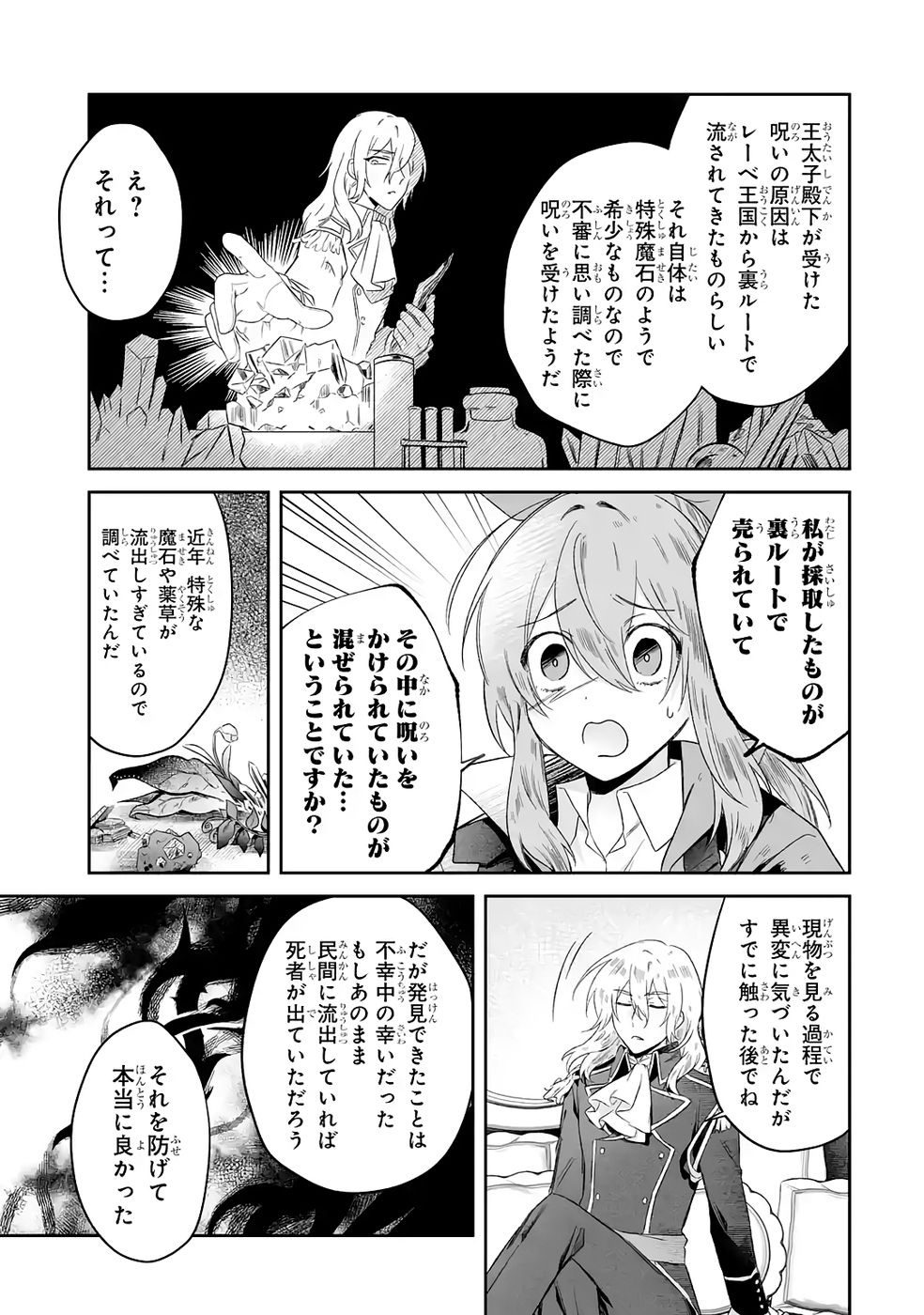 Seijou no Ane desu ga, Imouto no Tame no Tokushu Masekiya Tokushu Yakusou no Saishu wo Yametara, Ringoku no Majutsushi-sama no Moto de Shiawase ni narimashita! Chapter 7 13ページ