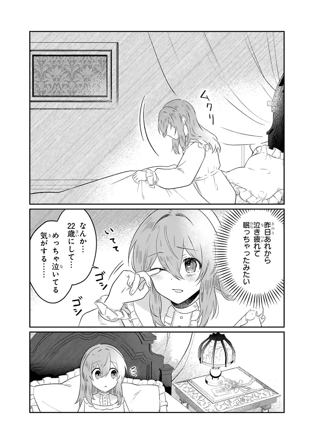 Seijou no Ane desu ga, Imouto no Tame no Tokushu Masekiya Tokushu Yakusou no Saishu wo Yametara, Ringoku no Majutsushi-sama no Moto de Shiawase ni narimashita! Chapter 8 3ページ