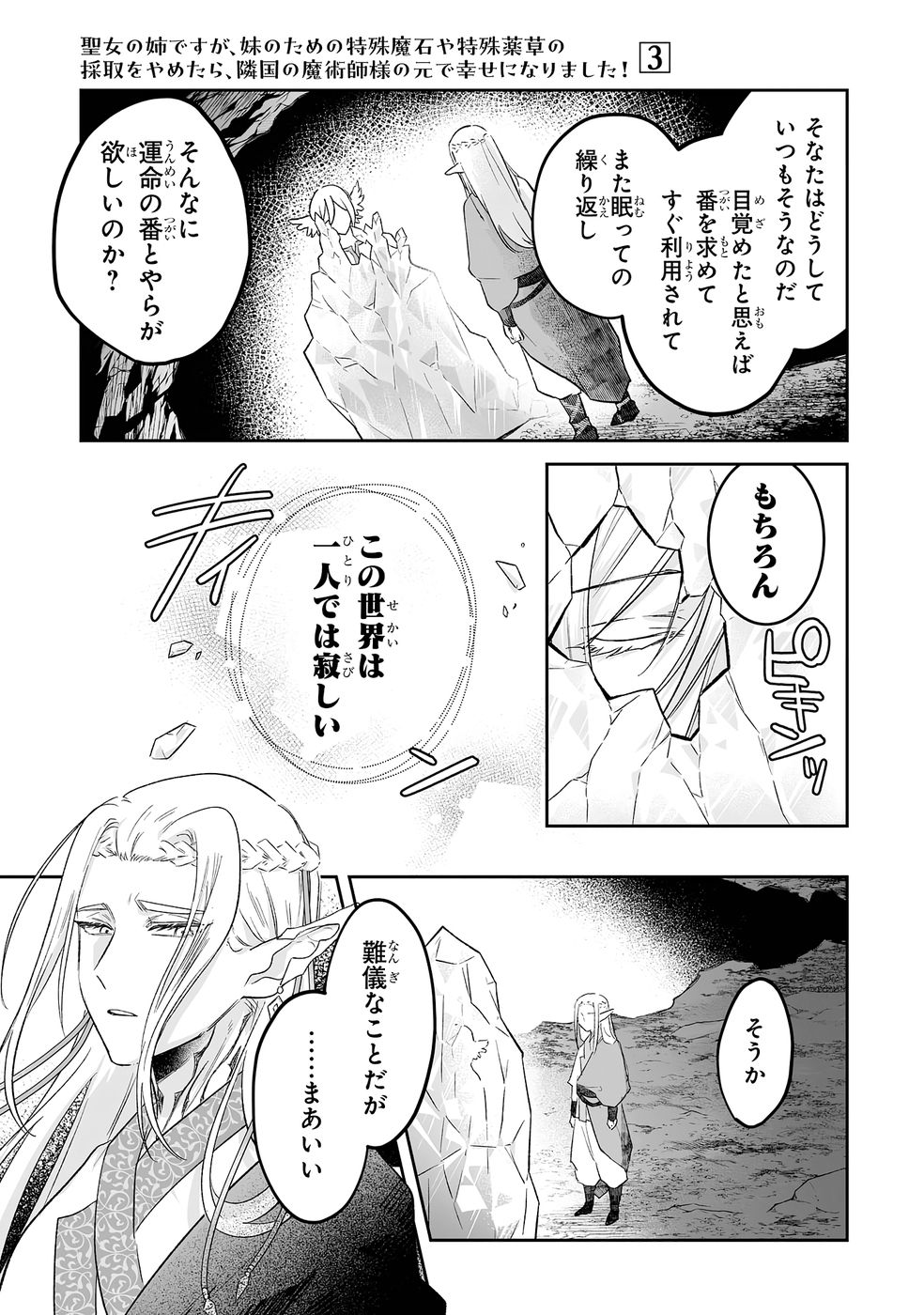 Seijou no Ane desu ga, Imouto no Tame no Tokushu Masekiya Tokushu Yakusou no Saishu wo Yametara, Ringoku no Majutsushi-sama no Moto de Shiawase ni narimashita! Chapter 12 3ページ