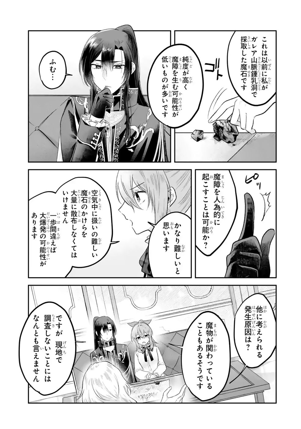 Seijou no Ane desu ga, Imouto no Tame no Tokushu Masekiya Tokushu Yakusou no Saishu wo Yametara, Ringoku no Majutsushi-sama no Moto de Shiawase ni narimashita! Chapter 12 25ページ