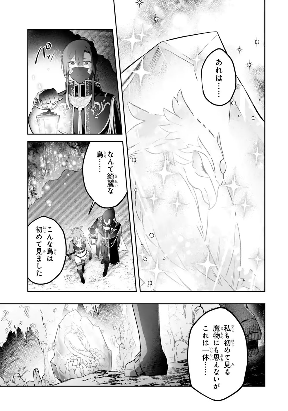 Seijou no Ane desu ga, Imouto no Tame no Tokushu Masekiya Tokushu Yakusou no Saishu wo Yametara, Ringoku no Majutsushi-sama no Moto de Shiawase ni narimashita! Chapter 13 19ページ