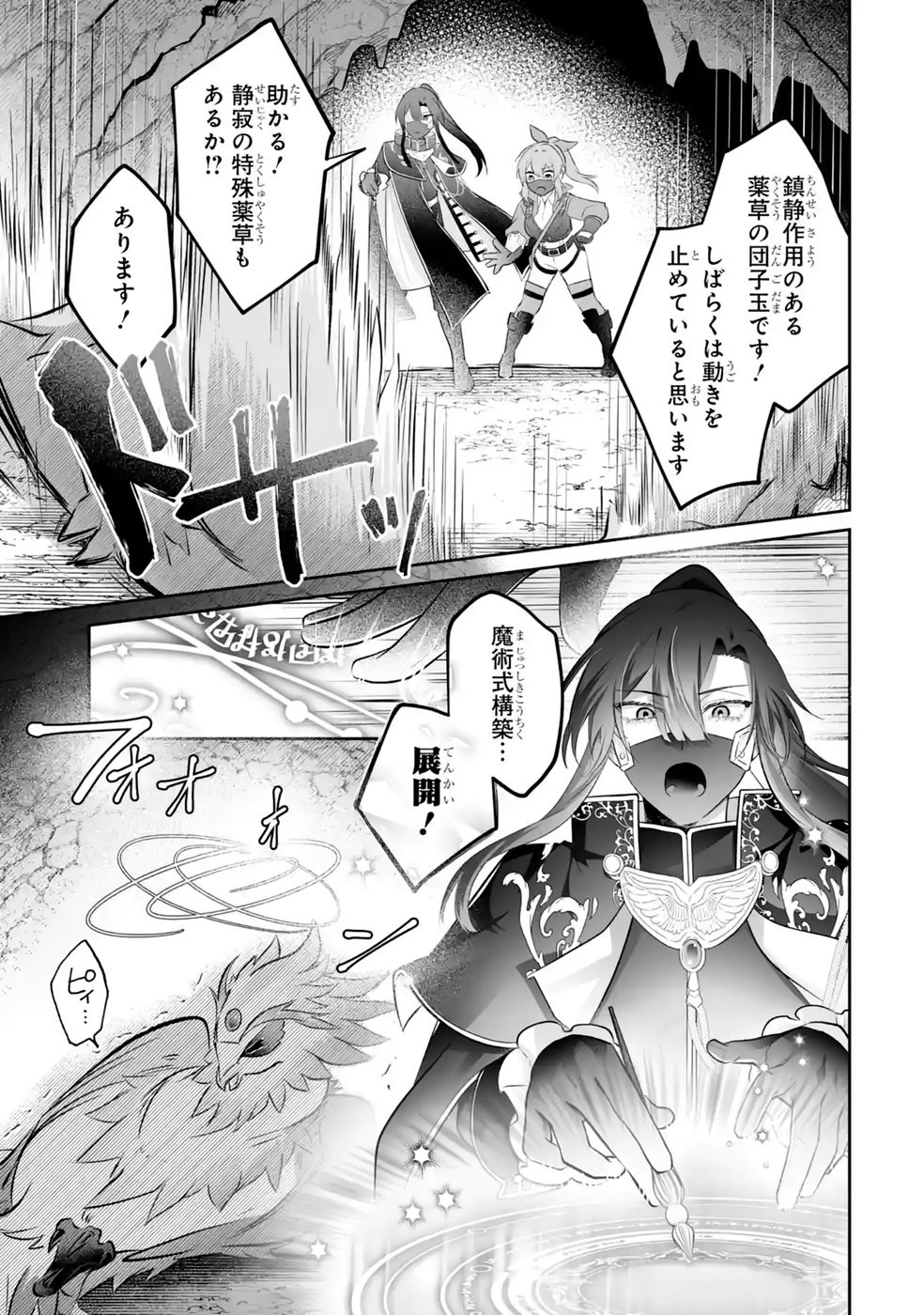 Seijou no Ane desu ga, Imouto no Tame no Tokushu Masekiya Tokushu Yakusou no Saishu wo Yametara, Ringoku no Majutsushi-sama no Moto de Shiawase ni narimashita! Chapter 14 29ページ