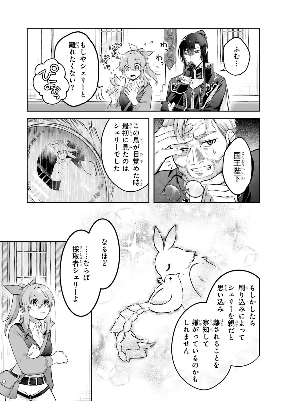Seijou no Ane desu ga, Imouto no Tame no Tokushu Masekiya Tokushu Yakusou no Saishu wo Yametara, Ringoku no Majutsushi-sama no Moto de Shiawase ni narimashita! Chapter 15 13ページ