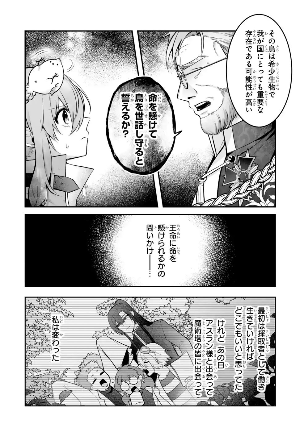 Seijou no Ane desu ga, Imouto no Tame no Tokushu Masekiya Tokushu Yakusou no Saishu wo Yametara, Ringoku no Majutsushi-sama no Moto de Shiawase ni narimashita! Chapter 15 14ページ