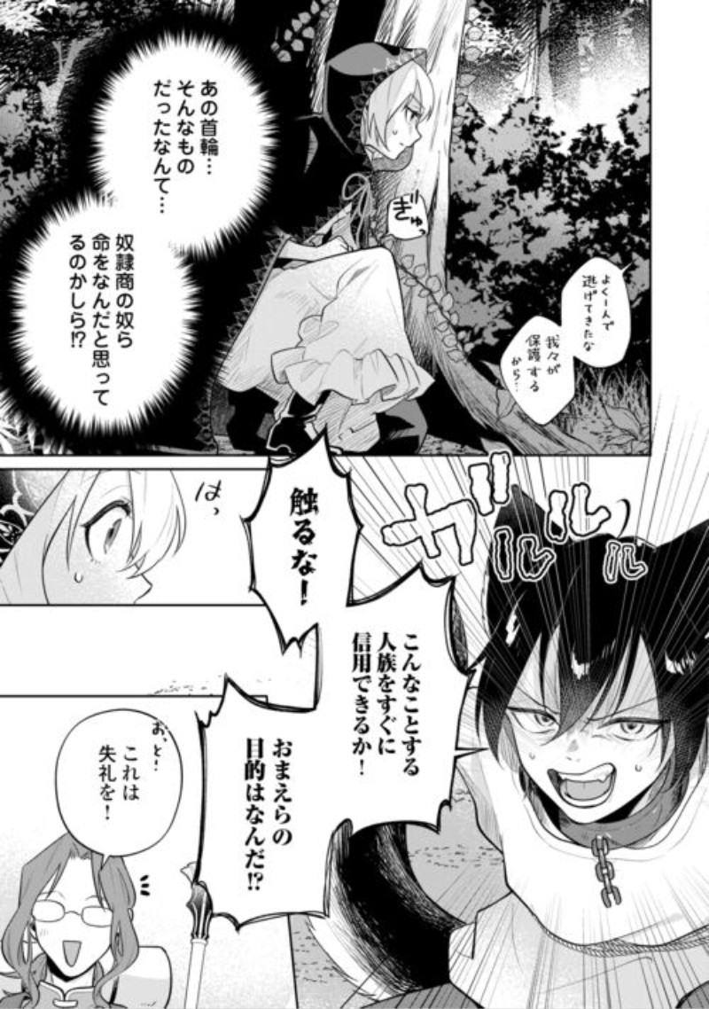 Isekai Tensei Reijou, Shuppon Suru Chapter 11 19ページ