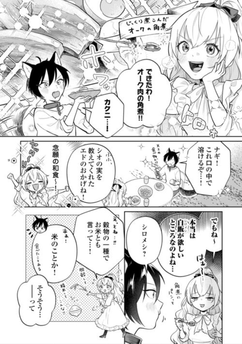 Isekai Tensei Reijou, Shuppon Suru Chapter 11 4ページ