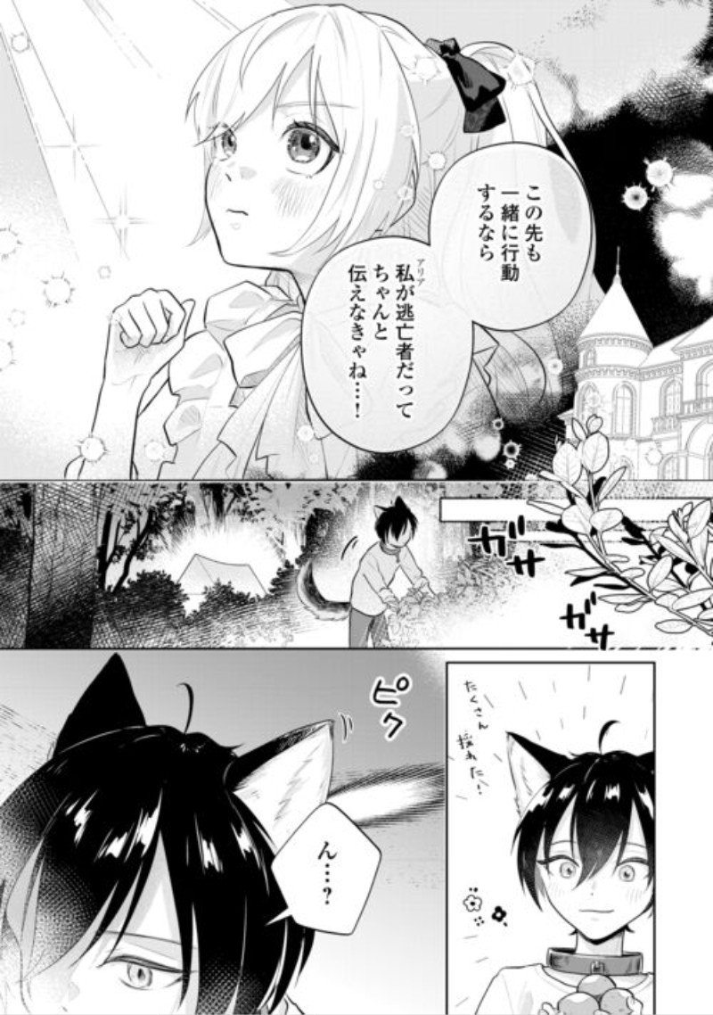 Isekai Tensei Reijou, Shuppon Suru Chapter 11 10ページ