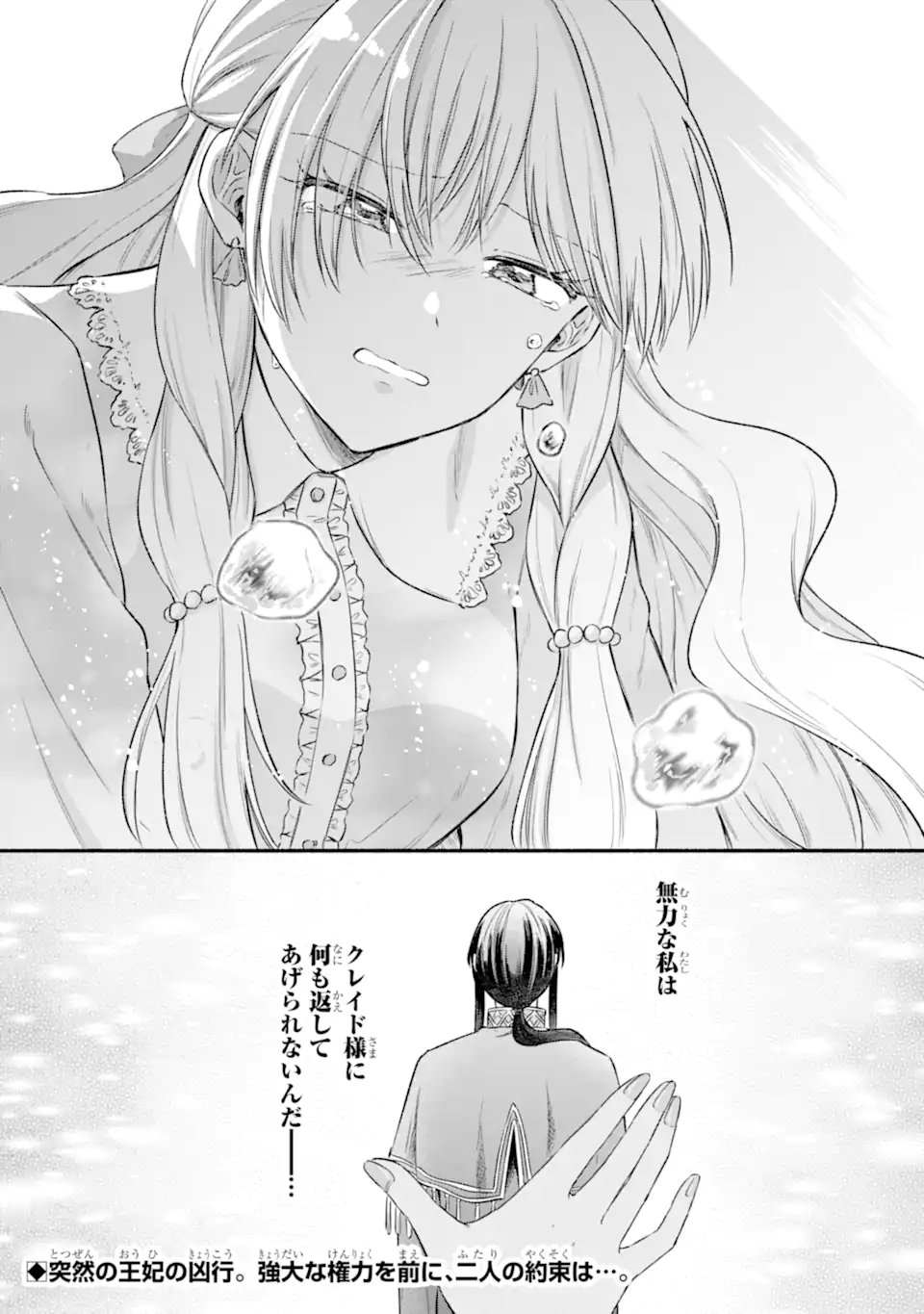 Konyaku Shitara "Kimi wa Nan mo Shinakute Ii" to Iwaremashita: Tenga no Dekiai wa Wakarinikui! Chapter 11.3 11ページ