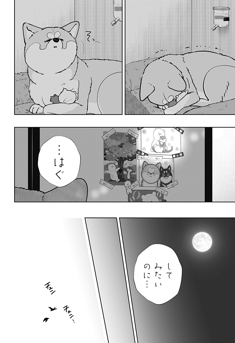 Shiba-Tsuki Bukken Chapter 59 12ページ