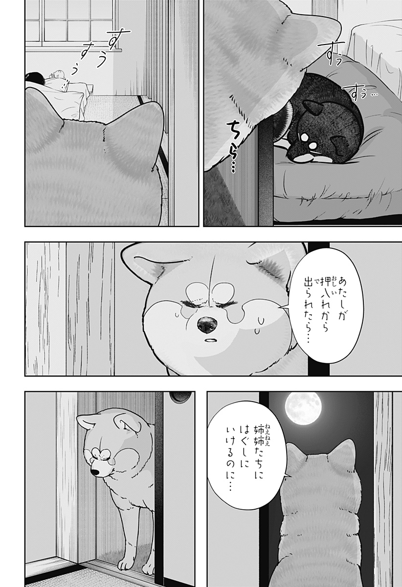 Shiba-Tsuki Bukken Chapter 59 10ページ