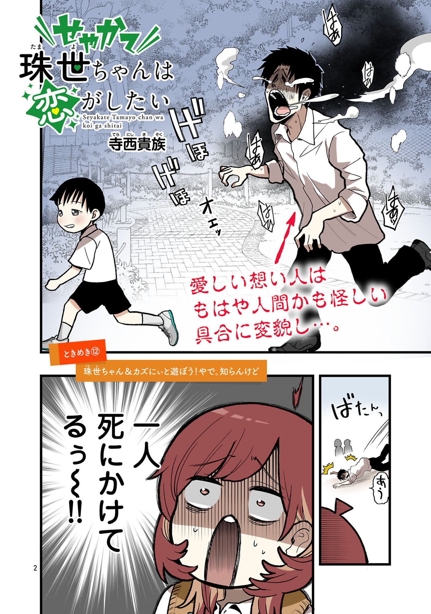 Seyakate Tamayo-chan wa Koi ga shitai Chapter 12 2ページ