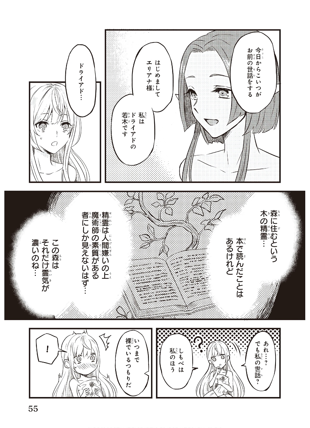 Imouto ni Konyakusha wo Yuzure to Iwaremashita, Saikyou no Ryuu ni Kiniirarete Masakano Okoku Nottori? Chapter 3 5ページ