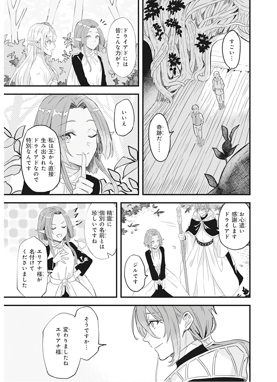 Imouto ni Konyakusha wo Yuzure to Iwaremashita, Saikyou no Ryuu ni Kiniirarete Masakano Okoku Nottori? Chapter 8 13ページ