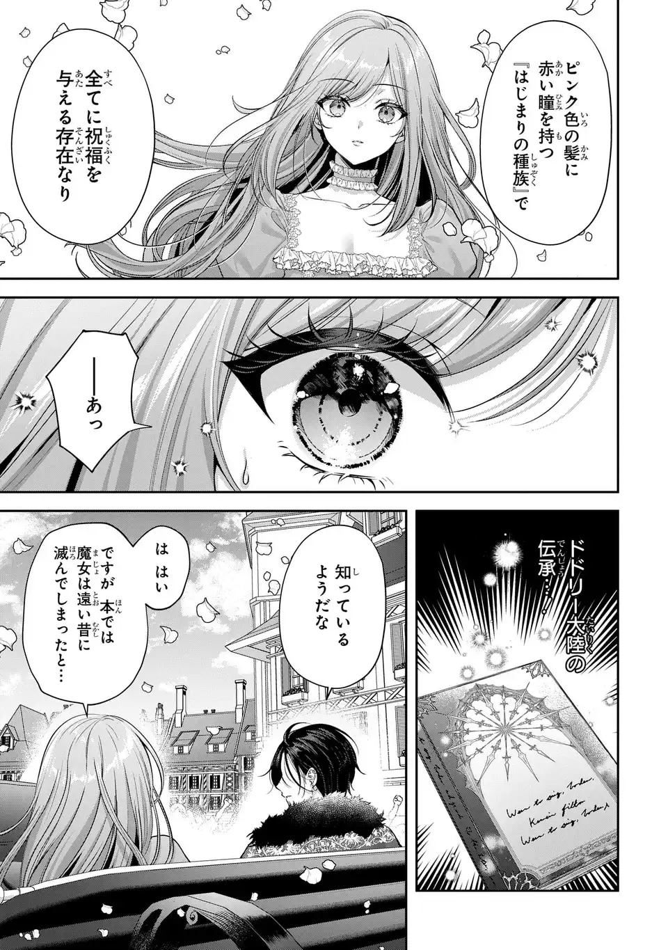 Tekikoku ni Totsuide Koritsumuen desu ga, Douyara Watashi wa Saikyoushu no Majo rashii desu yo? Chapter 2 25ページ
