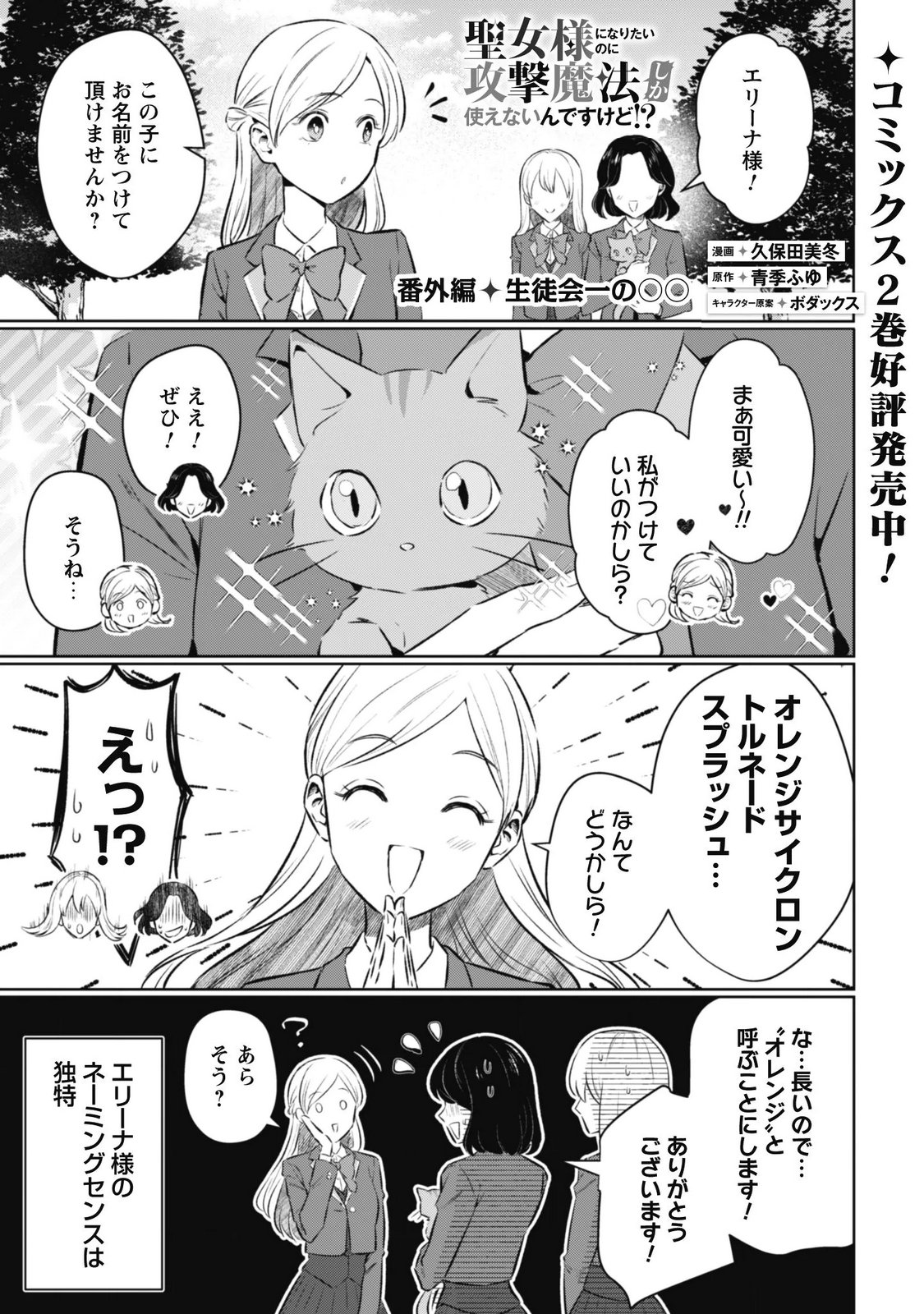 Seijo Sama ni Naritai noni Kougeki Mahou Shika Tsukaenain desu kedo!? Chapter 14.5 1ページ