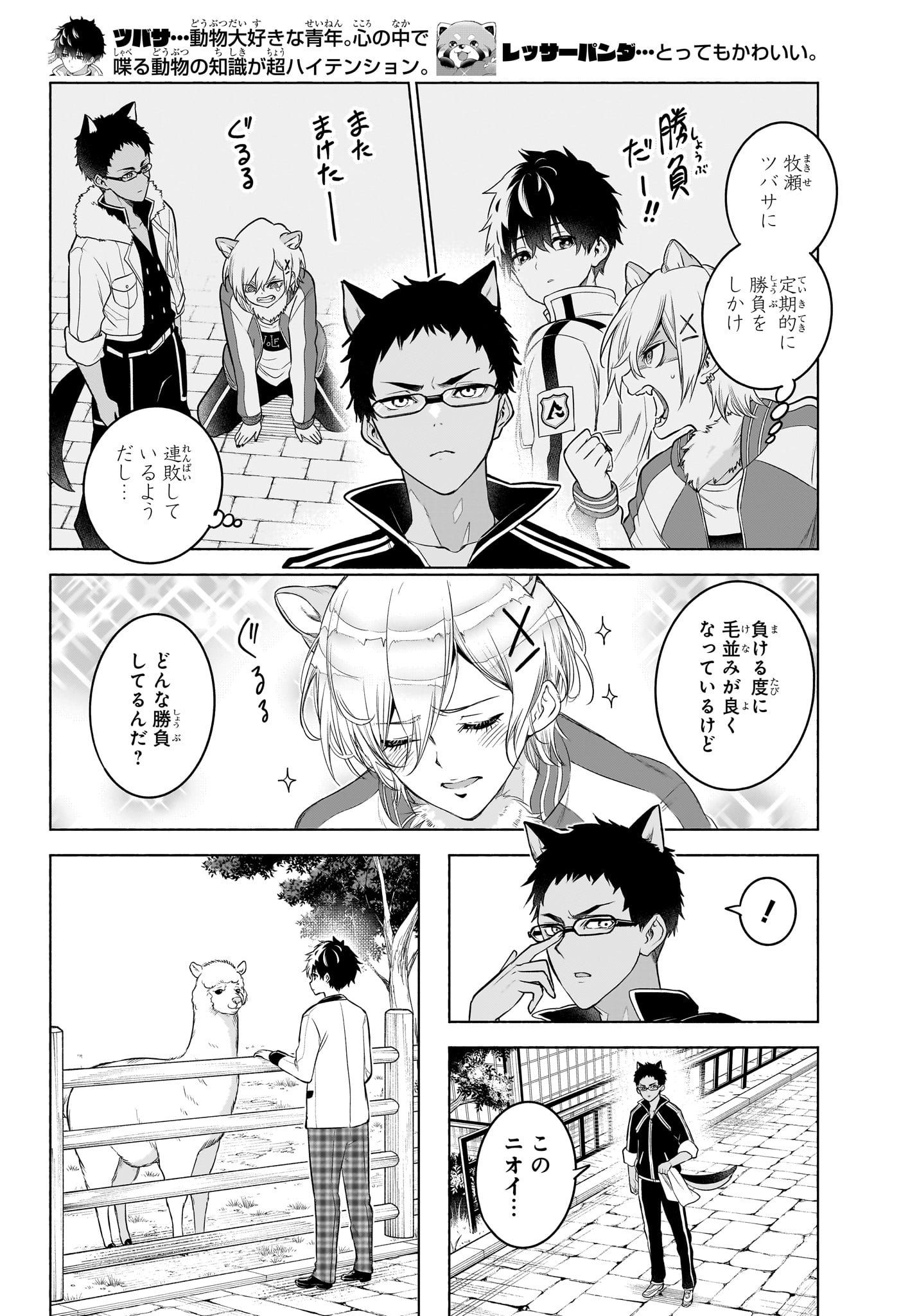 Animal Signal Chapter 13 2ページ
