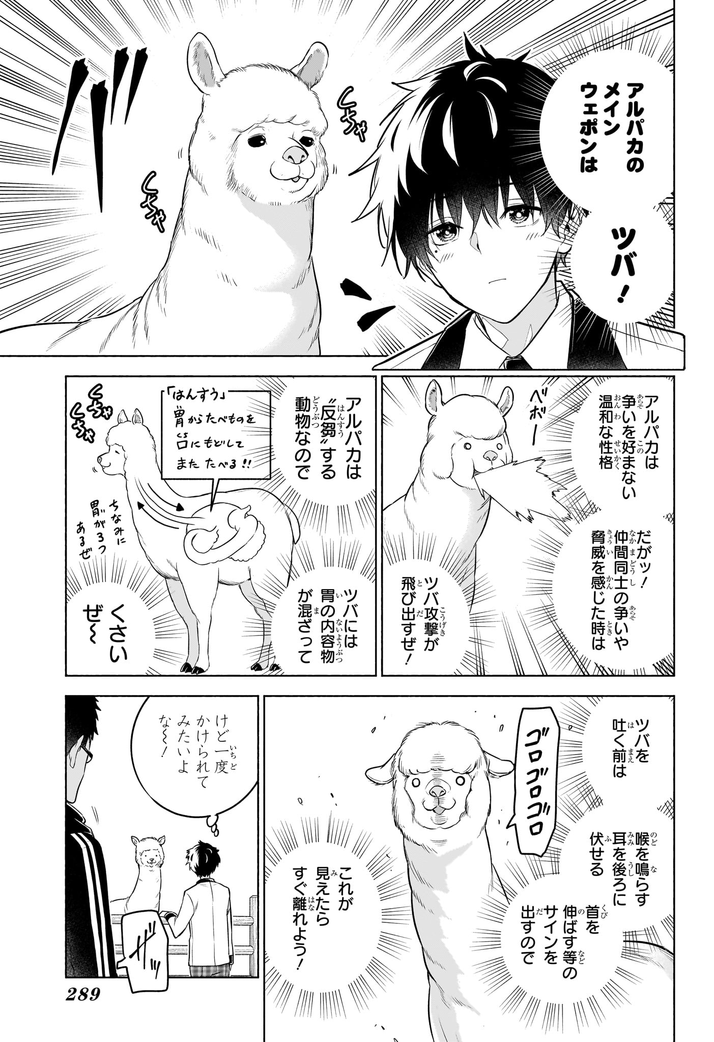 Animal Signal Chapter 13 3ページ