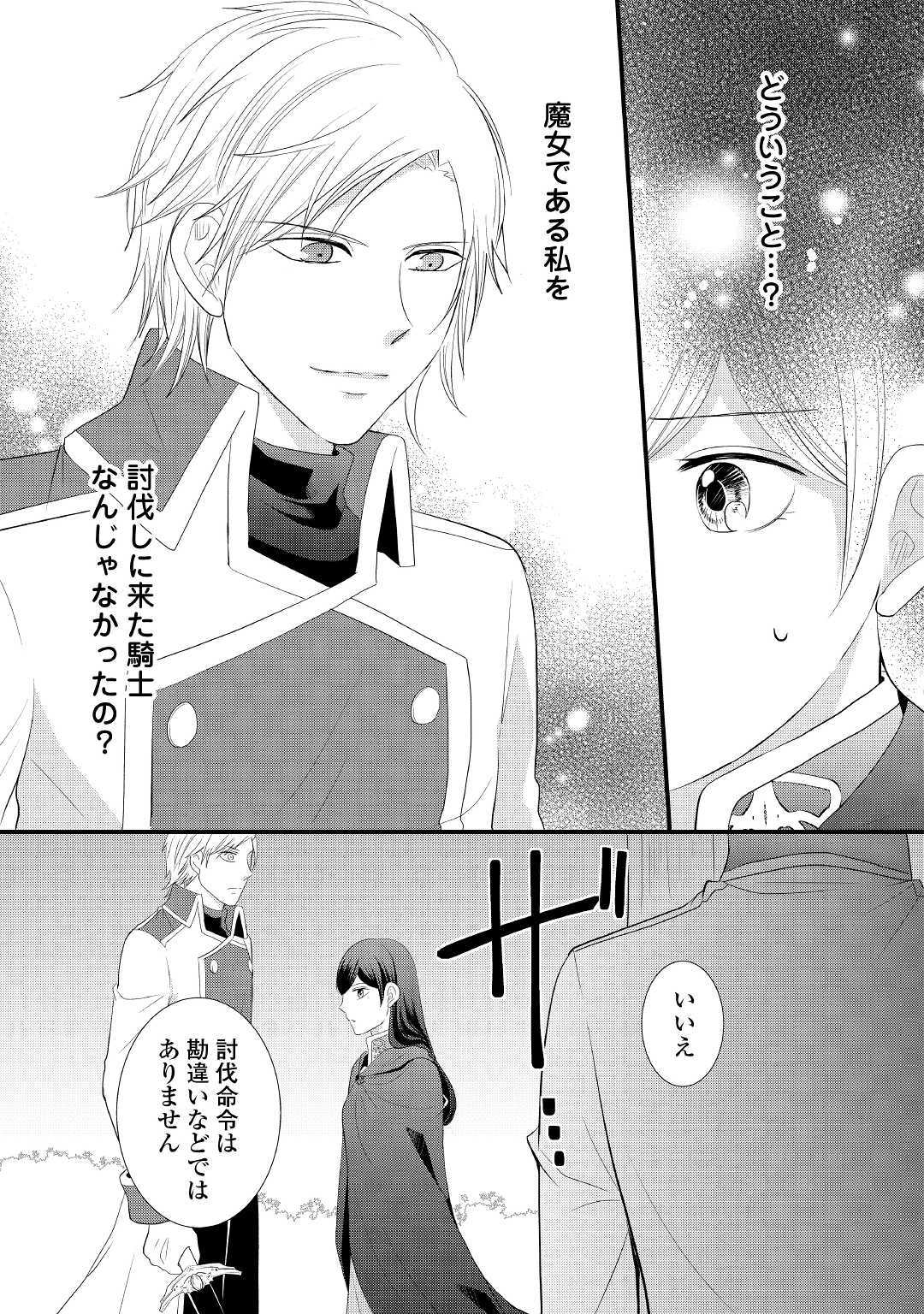 Kanchigai majo wa toubatsu kishi ni aisareru. Chapter 1 13ページ