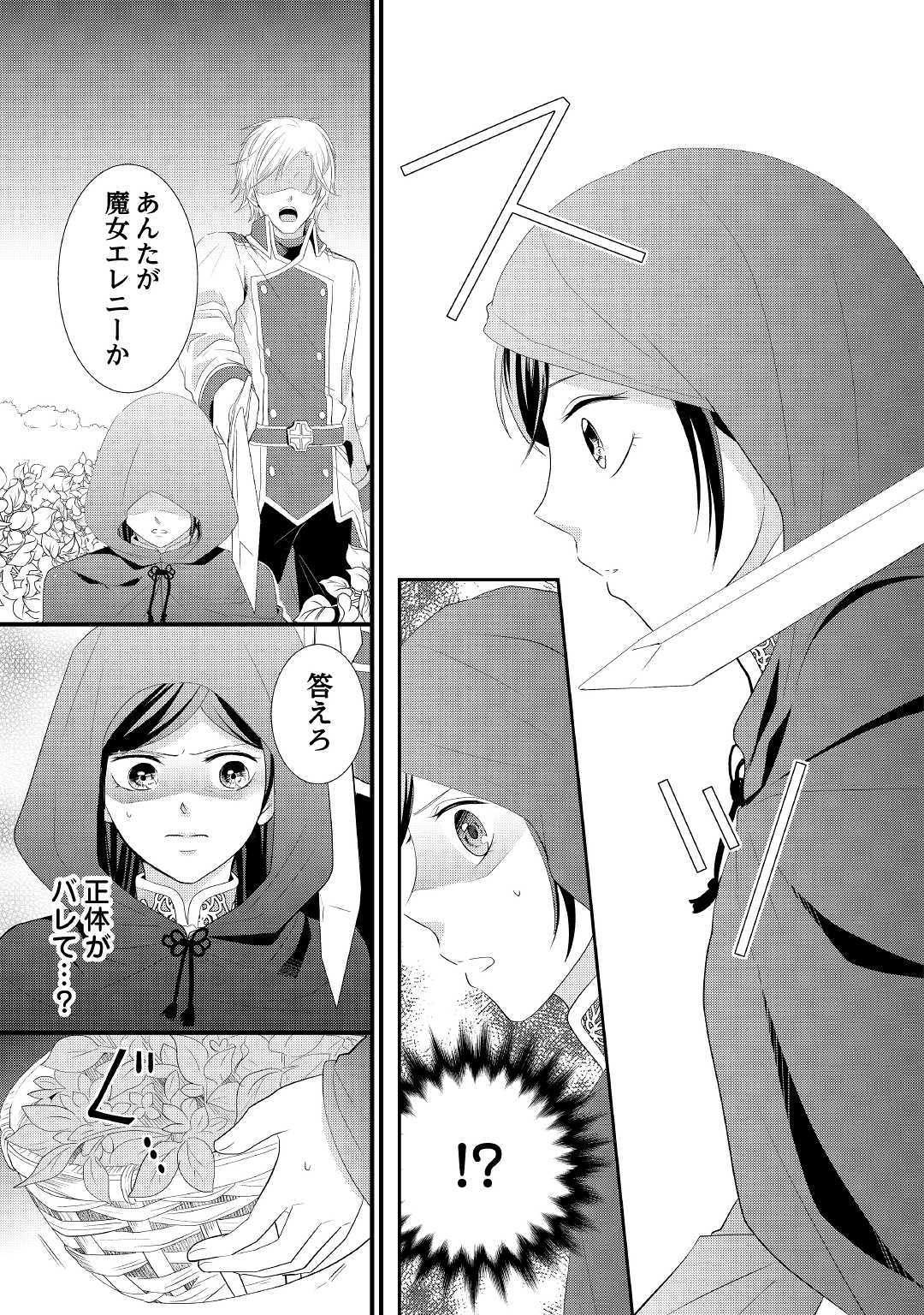 Kanchigai majo wa toubatsu kishi ni aisareru. Chapter 1 3ページ