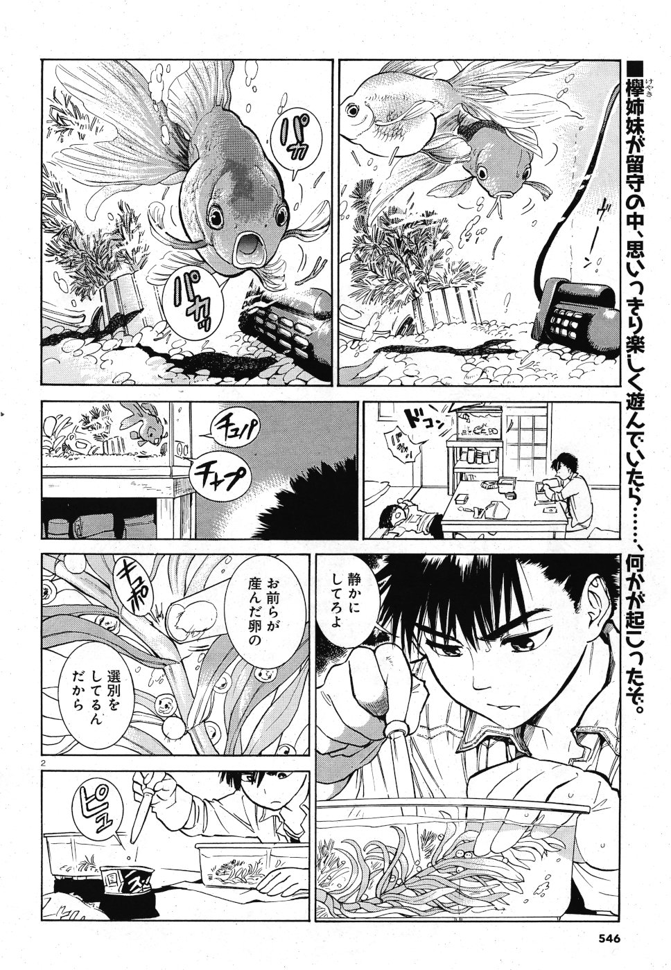 Keyaki Shimai no Shiki Chapter 25 2ページ