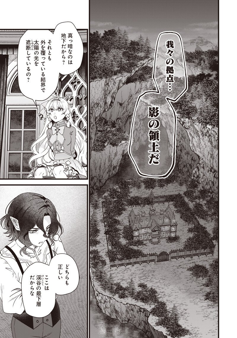 Sasen sareta Dai San Oujo wa Henkyou Kaikaku wo Hajimemasu!! Chapter 38 5ページ