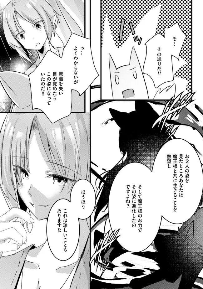 Kokuten no Maou - Mamono no Kotoba ga Wakaru Ore, Shiitagerareta Mamono-tachi no Kyuuseishu to Nari Saikyou Kokka o Tsukuriageru Chapter 11.2 3ページ