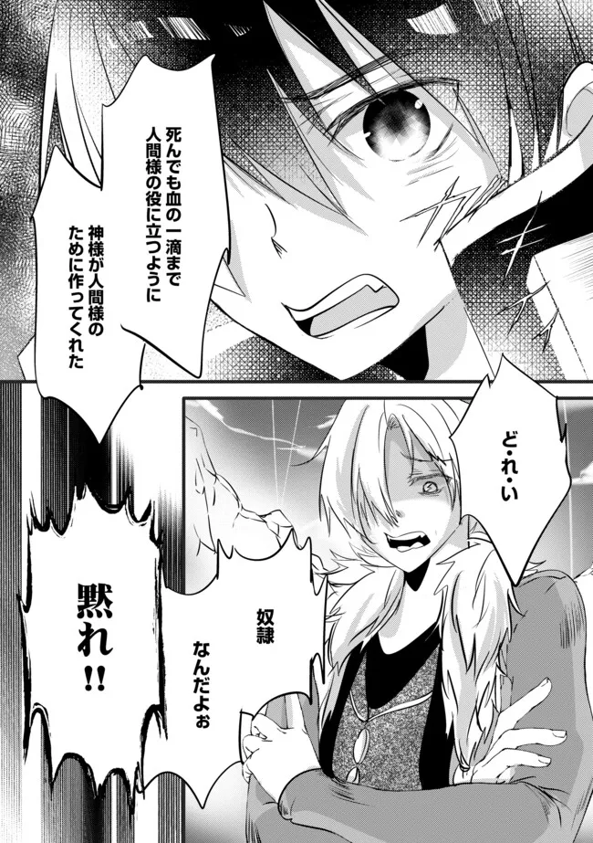 Kokuten no Maou - Mamono no Kotoba ga Wakaru Ore, Shiitagerareta Mamono-tachi no Kyuuseishu to Nari Saikyou Kokka o Tsukuriageru Chapter 13.2 11ページ