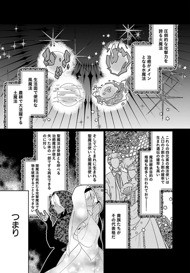 Kouhoubu Shussin no Akuyaku Reijou desu ga Muhyoujou na Ouji ni "Kimi wo Te Hanashitakunai" to Iwaremashita Chapter 2.4 1ページ