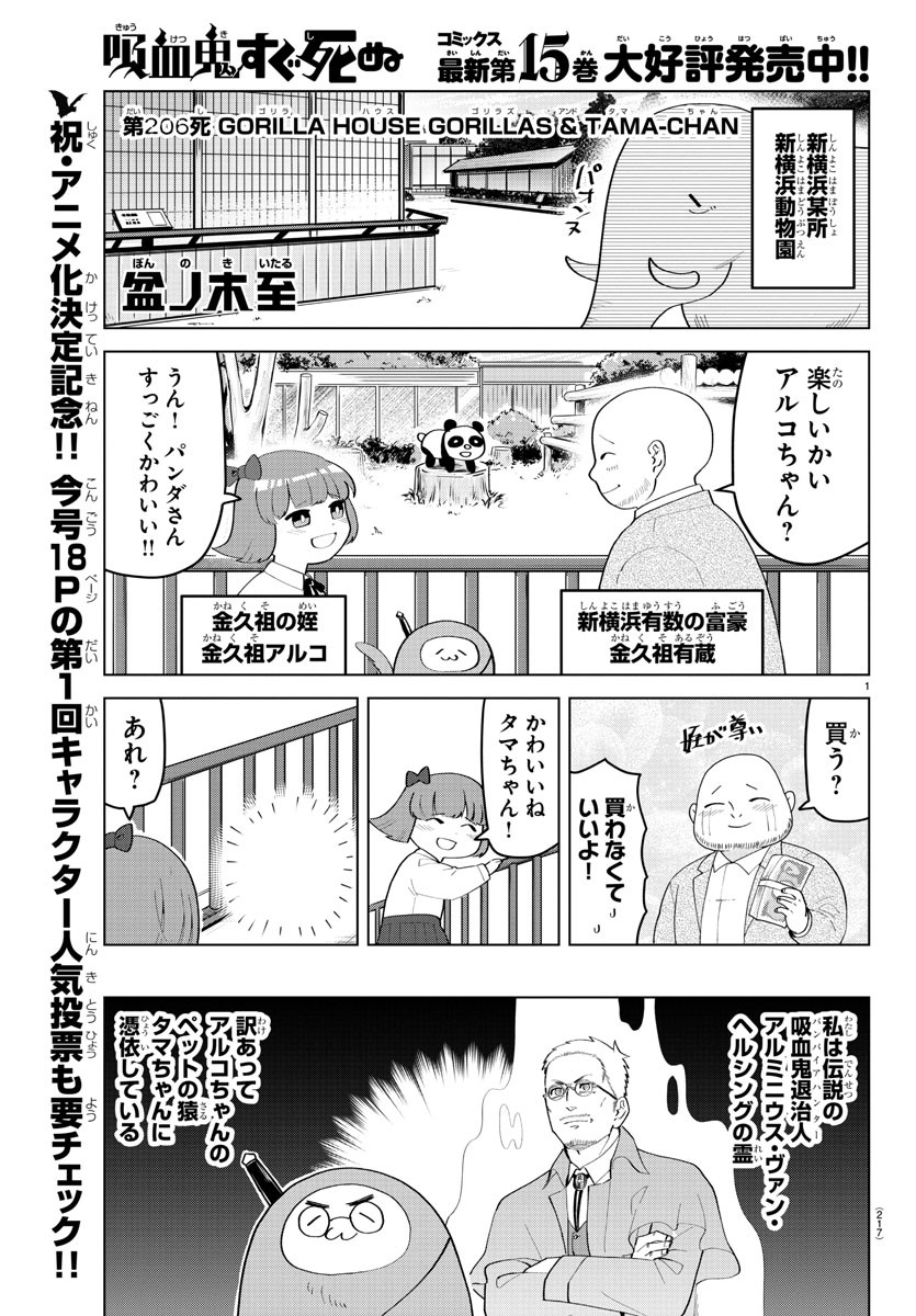 Kyuuketsuki Sugu Shinu Chapter 206 1ページ