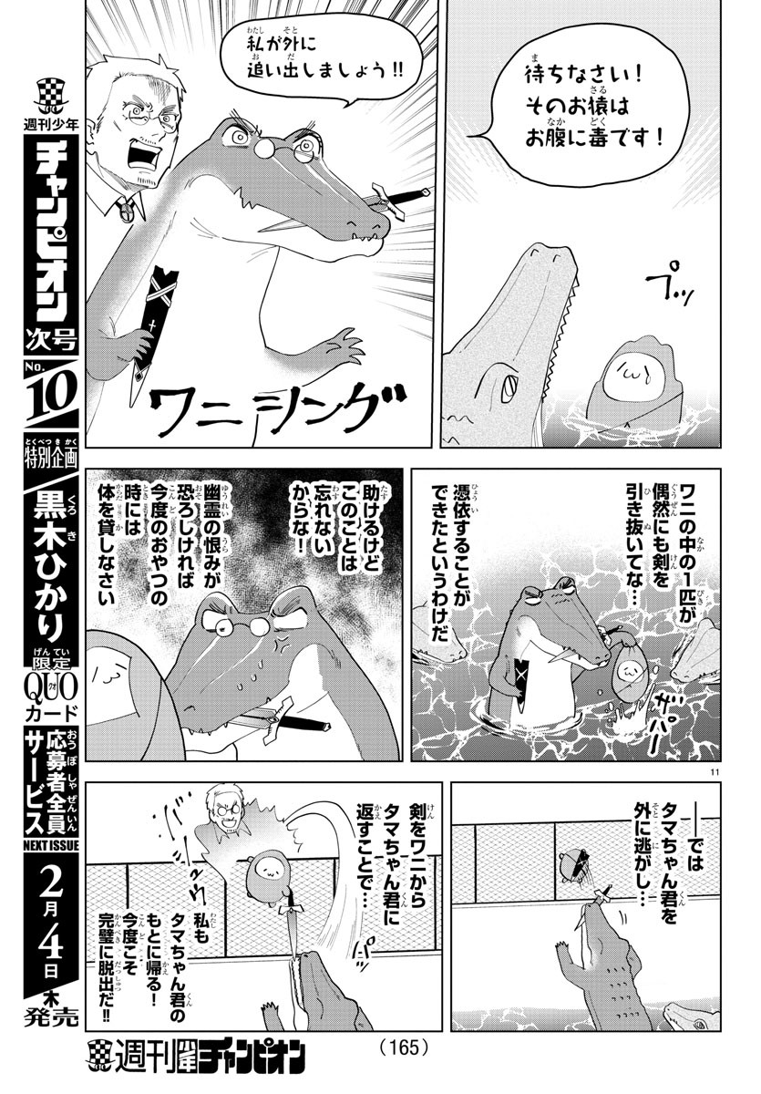 Kyuuketsuki Sugu Shinu Chapter 238 11ページ