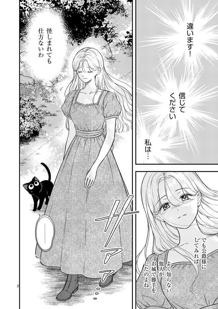Kaibutsu Ouji no Itoshii Majo Chapter 3 2ページ