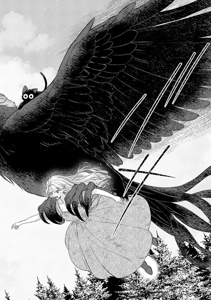 Kaibutsu Ouji no Itoshii Majo Chapter 3 12ページ