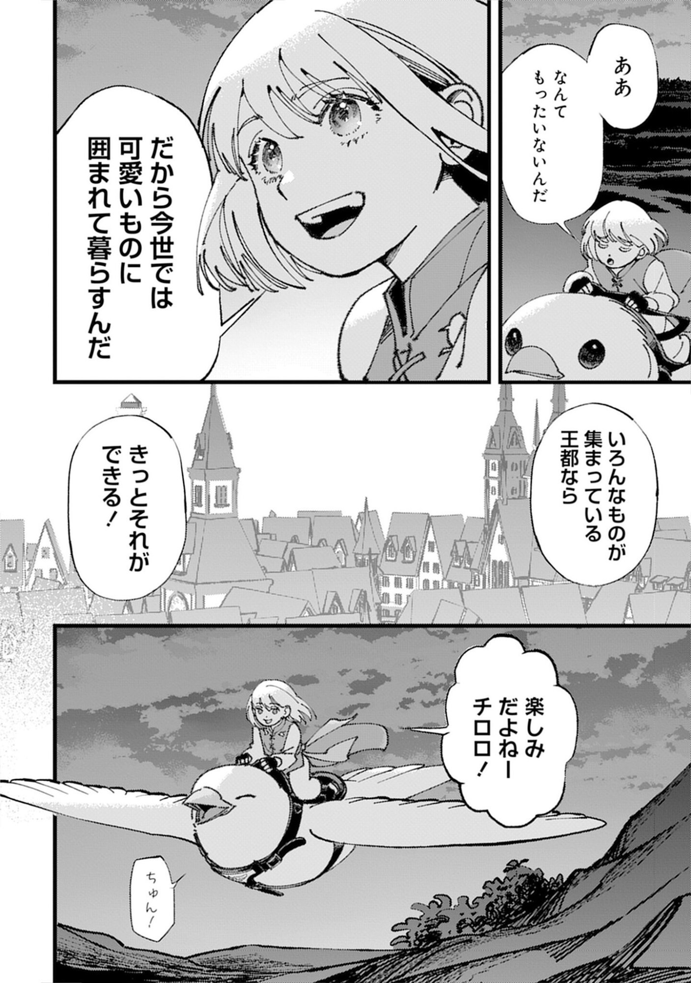 Kotori Rider wa Tokai de Kurashitai na Aibo to, Nonbiri Isekai Boukenki Chapter 2 28ページ