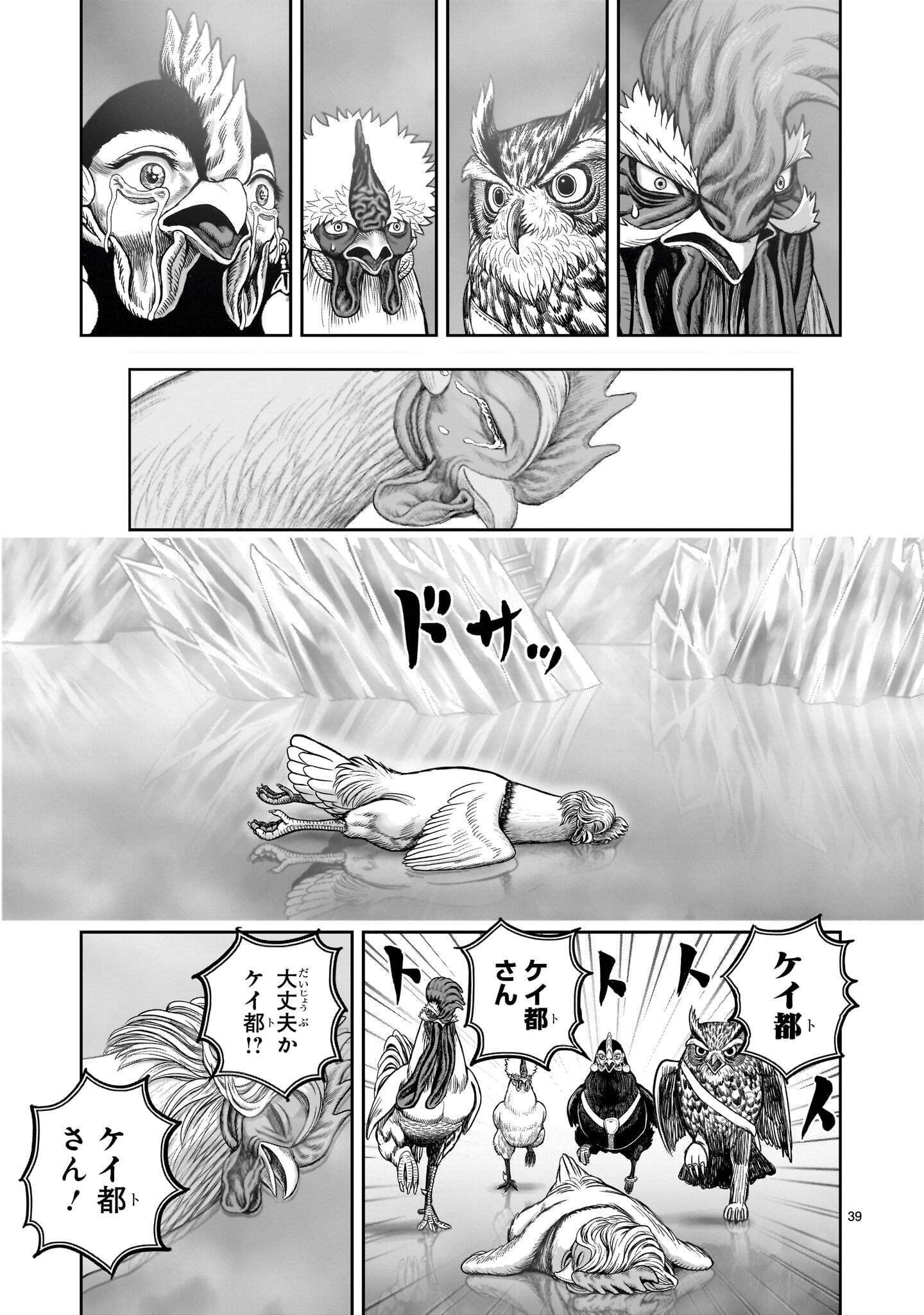 Niwatori Fighter Chapter 62.2 13ページ