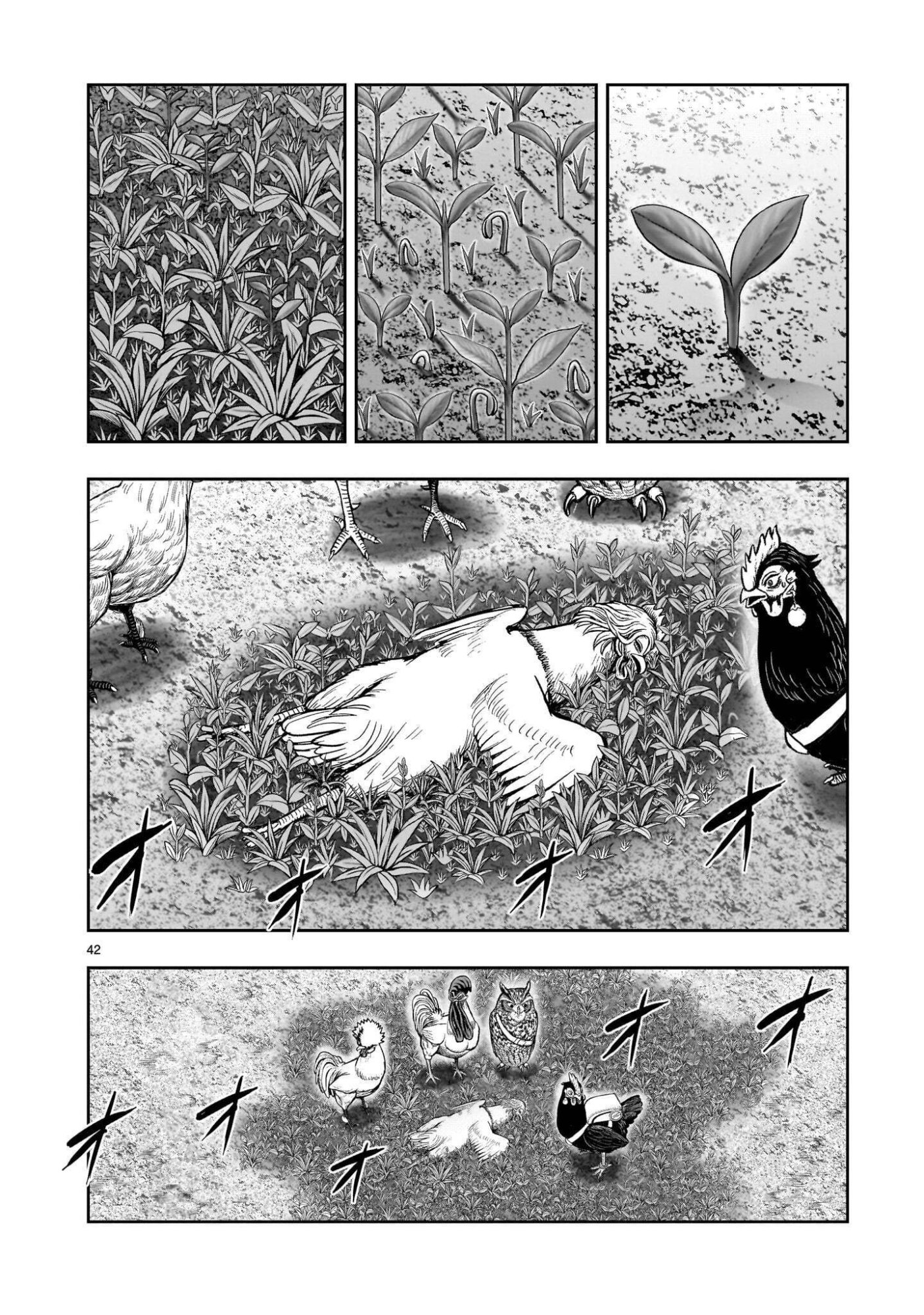 Niwatori Fighter Chapter 62.2 16ページ