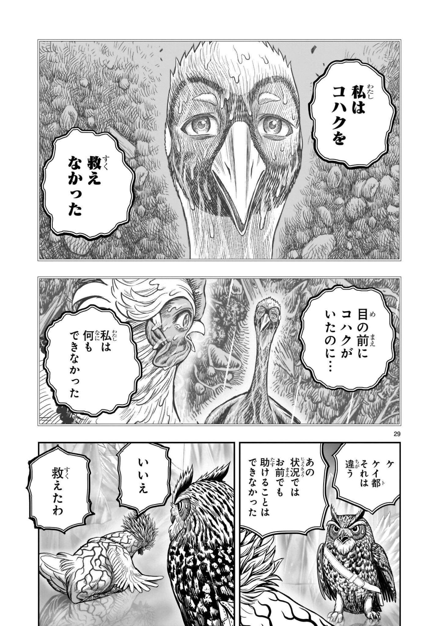 Niwatori Fighter Chapter 62.2 3ページ