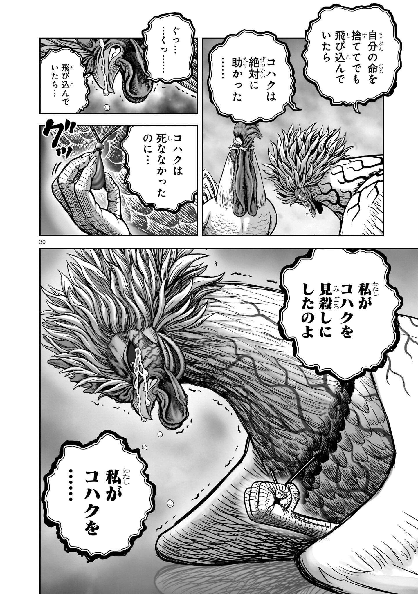 Niwatori Fighter Chapter 62.2 4ページ