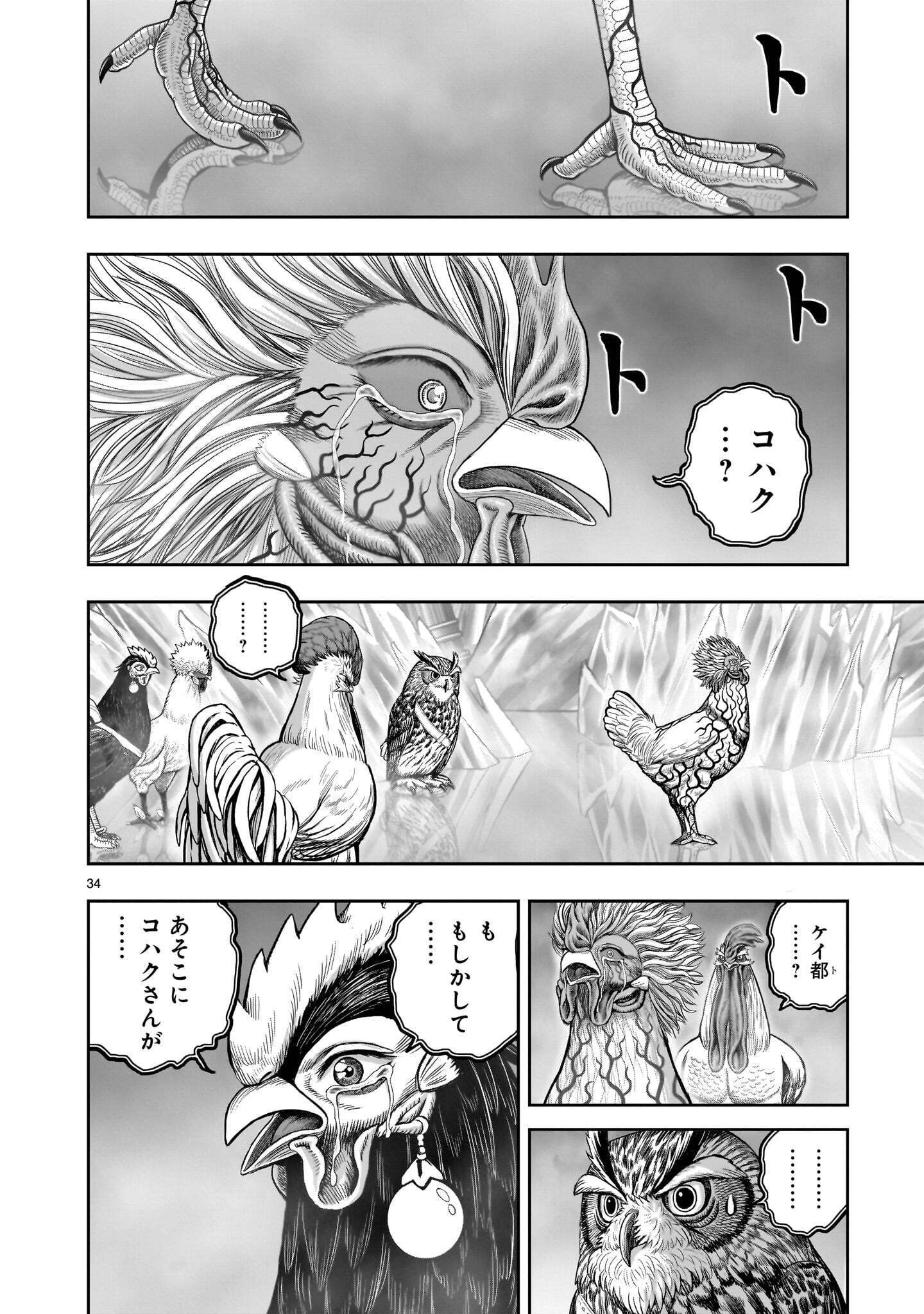 Niwatori Fighter Chapter 62.2 8ページ