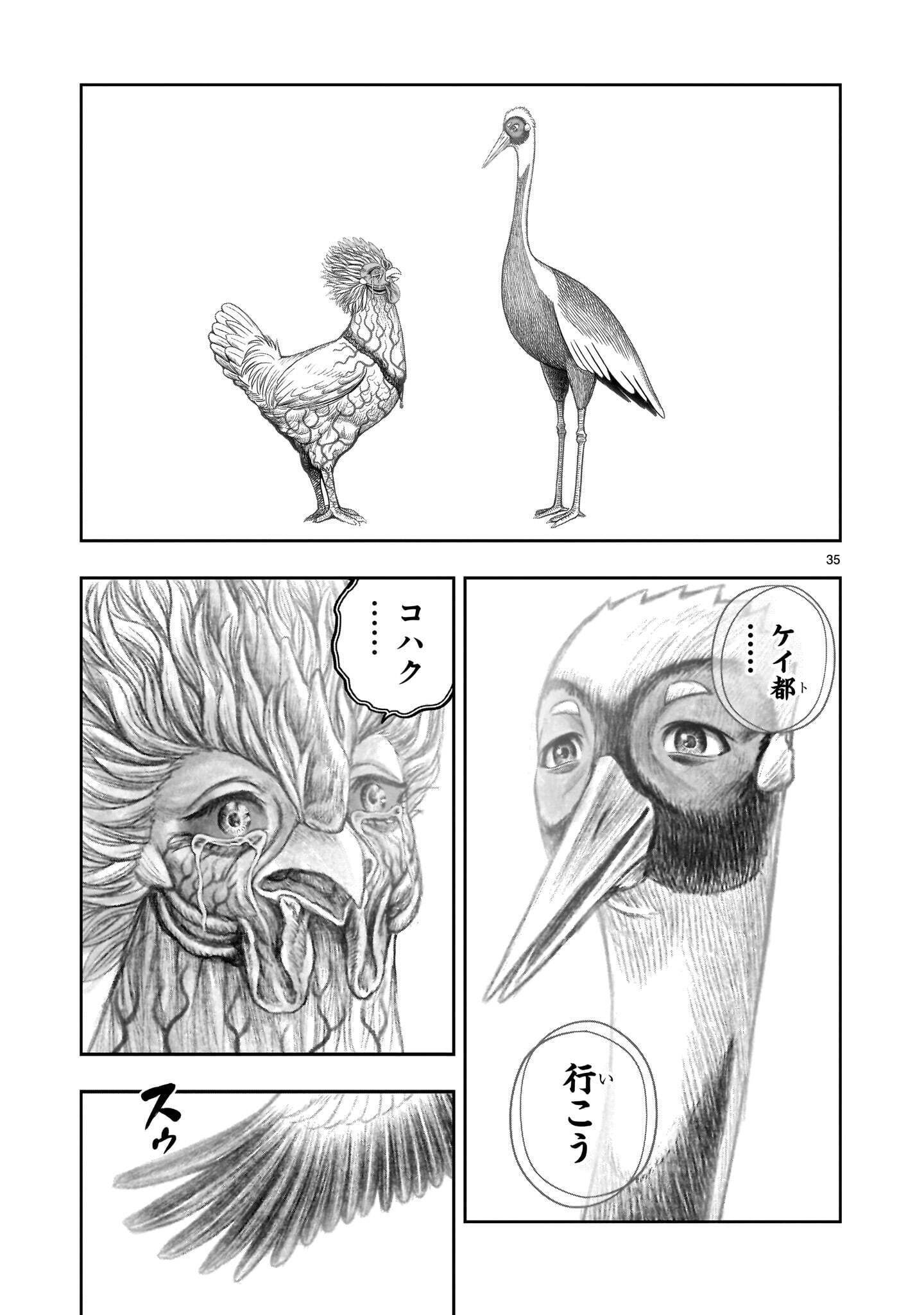 Niwatori Fighter Chapter 62.2 9ページ