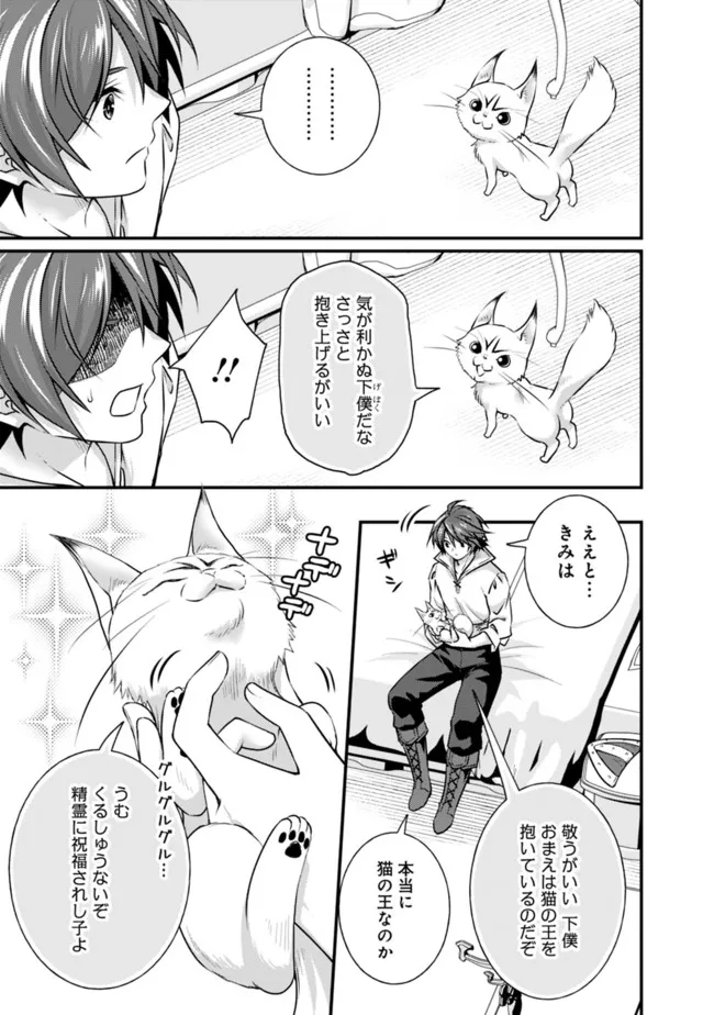 Madan no Ou to Seisen no Carnwenhan Chapter 10.2 9ページ