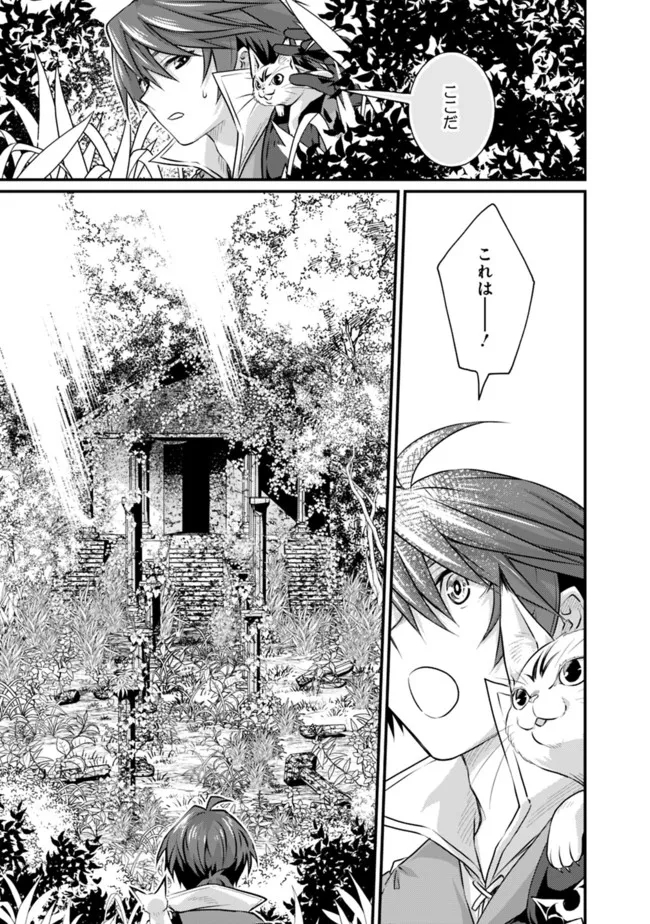 Madan no Ou to Seisen no Carnwenhan Chapter 11.1 5ページ