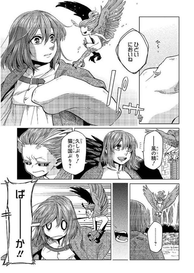 Mahou Tsukai no Yome Chapter 39 27ページ