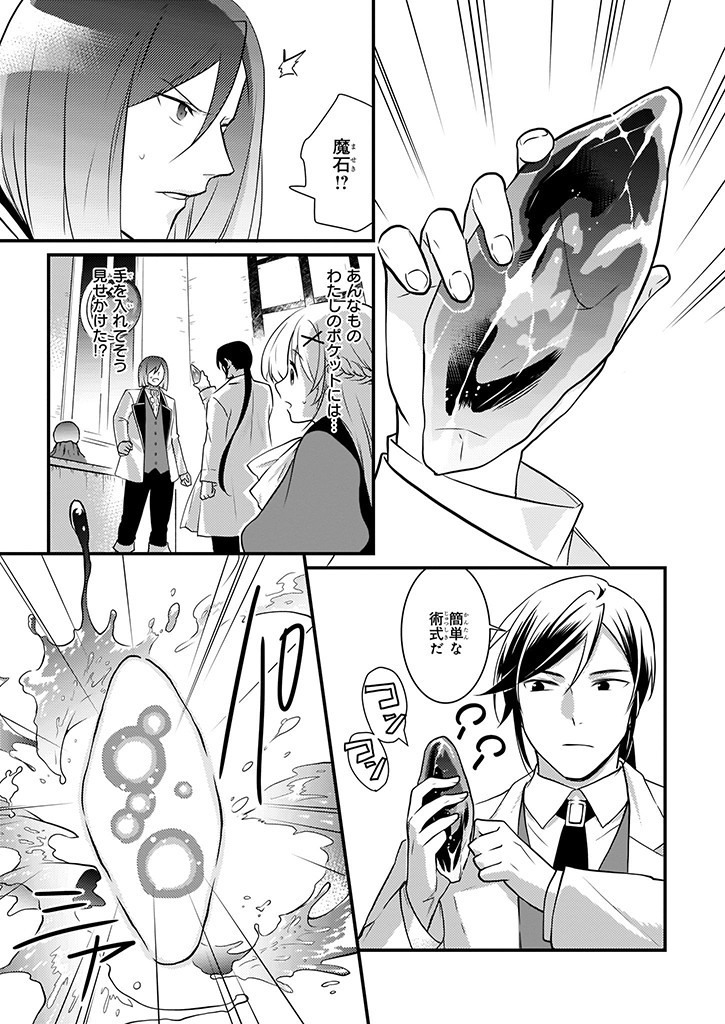 Mahou Yakushi ga Niban Deshi wo Mederu Riyuu: Senzoku Oshokujigakari ni Ninmei saremashita Chapter 9.2 27ページ