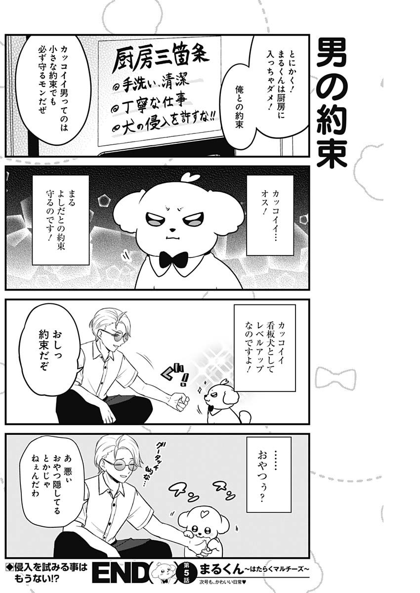 Maru-kun - Hataraku Maltese Chapter 5.5 4ページ
