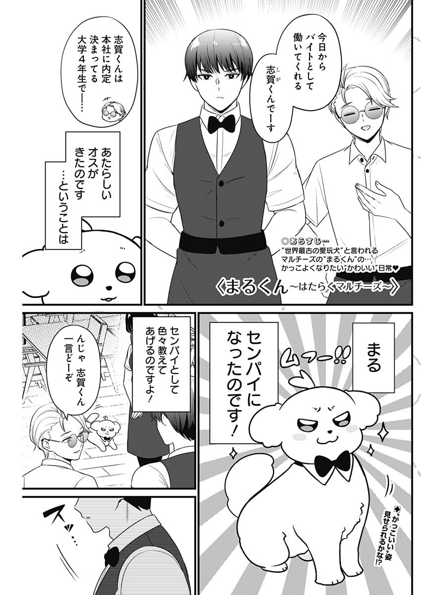 Maru-kun - Hataraku Maltese Chapter 7 1ページ