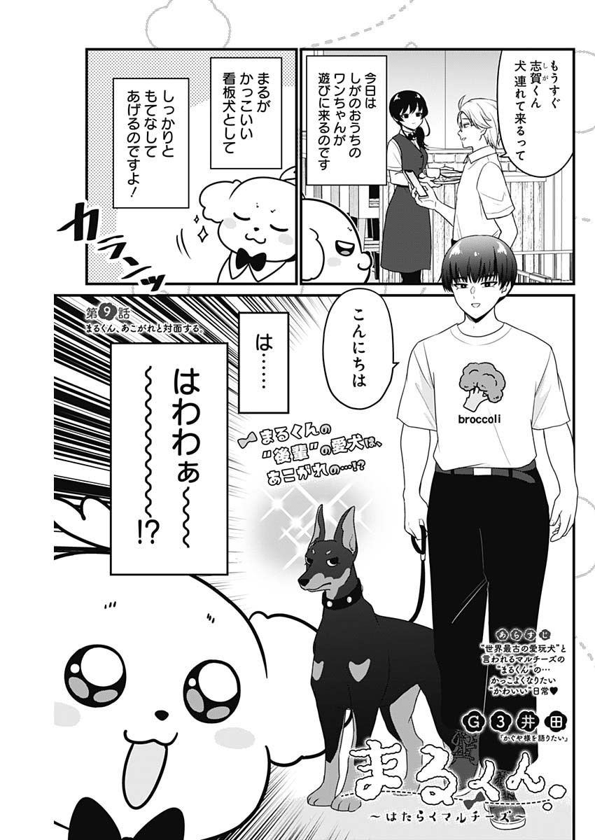 Maru-kun - Hataraku Maltese Chapter 9 1ページ