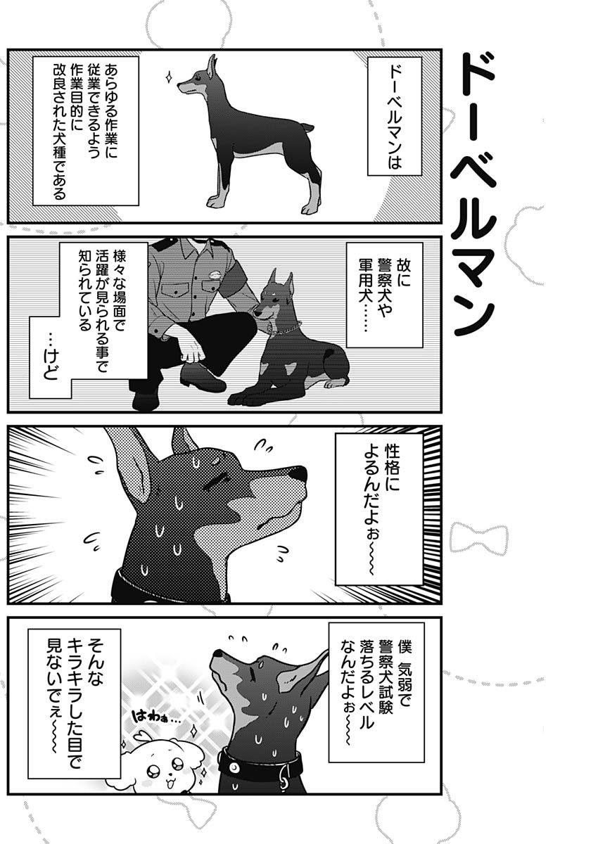 Maru-kun - Hataraku Maltese Chapter 9 4ページ