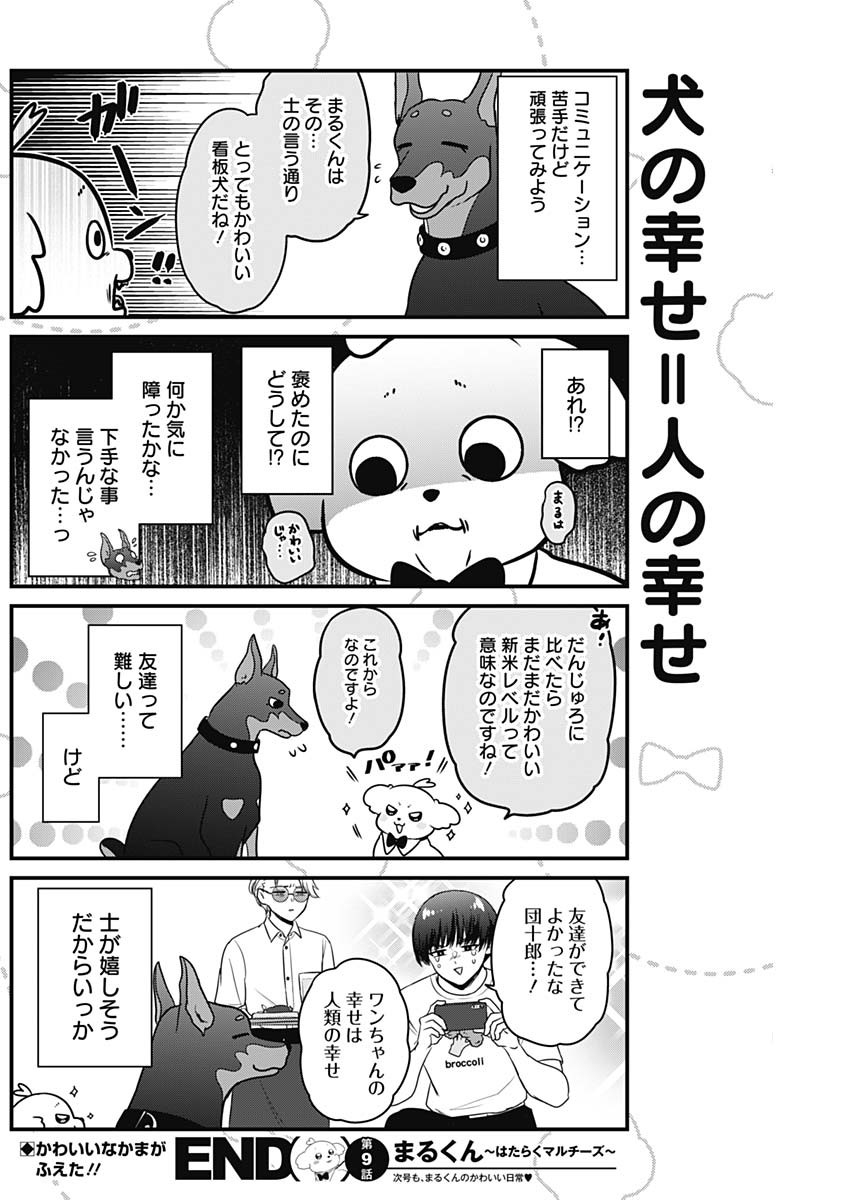Maru-kun - Hataraku Maltese Chapter 9 8ページ