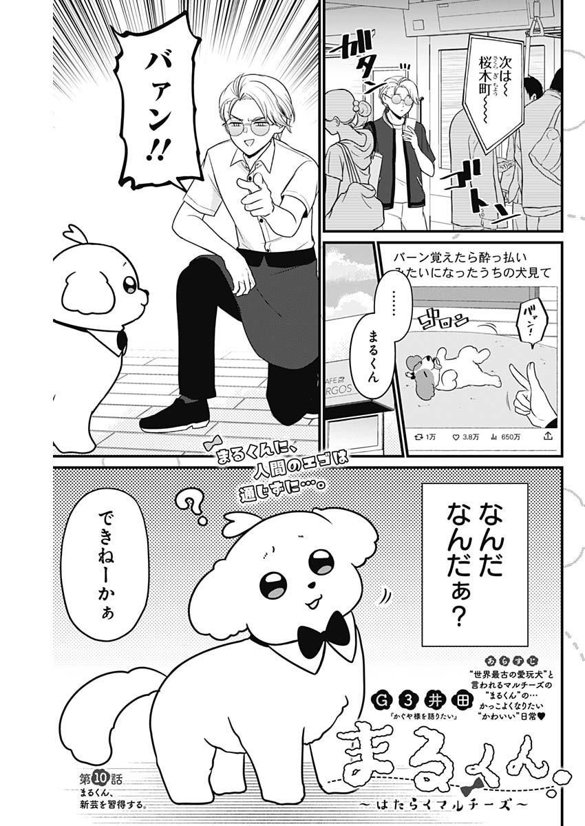 Maru-kun - Hataraku Maltese Chapter 10 1ページ